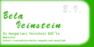 bela veinstein business card